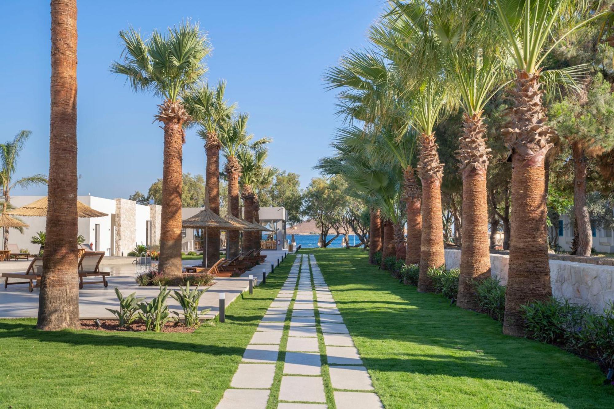 Regia Mare Beach Hotel & Spa Bodrum ออร์ทาเคนท์ ภายนอก รูปภาพ